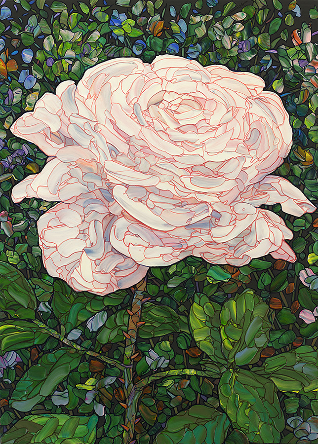 Floral Interpretation - White Rose